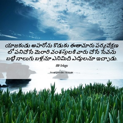 Picture 06 - సంఖ్యాకాండం 7:8 TELIRV - యాజకుడు అహరోను - Bible Verse Picture