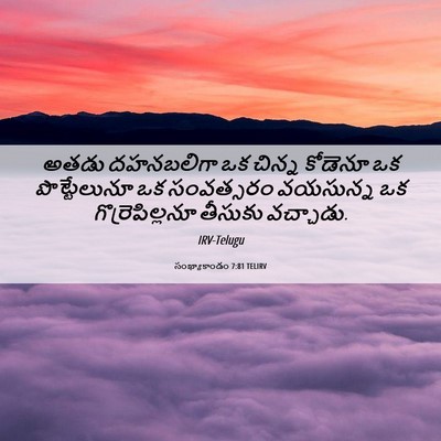 Picture 06 - సంఖ్యాకాండం 7:81 TELIRV - అతడు దహనబలిగా ఒక - Bible Verse Picture