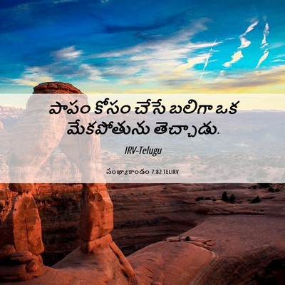 Picture 06 - సంఖ్యాకాండం 7:82 TELIRV - పాపం కోసం చేసే - Bible Verse Picture