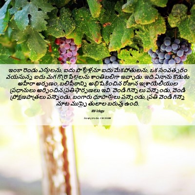 Picture 06 - సంఖ్యాకాండం 7:83 TELIRV - ఇంకా రెండు - Bible Verse Picture