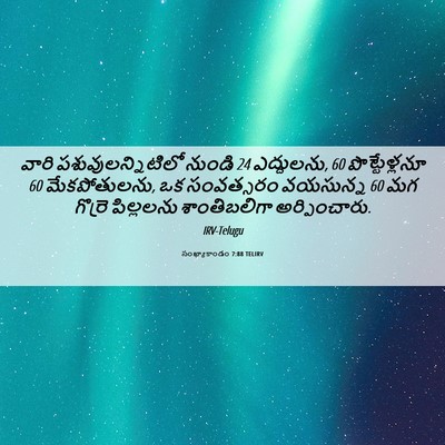 Picture 06 - సంఖ్యాకాండం 7:88 TELIRV - వారి - Bible Verse Picture