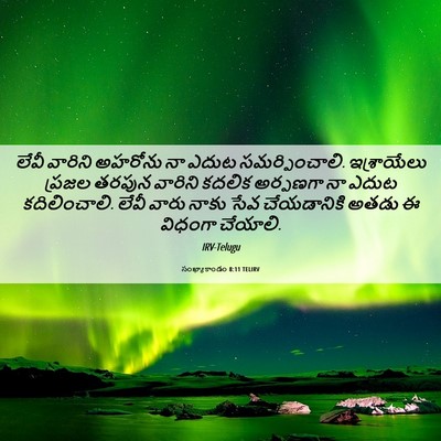 Picture 06 - సంఖ్యాకాండం 8:11 TELIRV - లేవీ వారిని - Bible Verse Picture