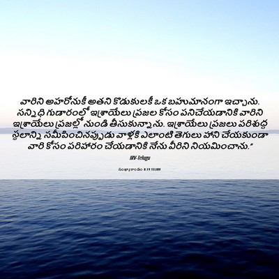 Picture 06 - సంఖ్యాకాండం 8:19 TELIRV - వారిని అహరోనుకీ - Bible Verse Picture