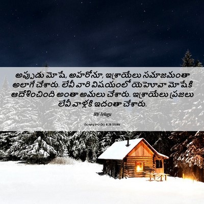 Picture 06 - సంఖ్యాకాండం 8:20 TELIRV - అప్పుడు మోషే, - Bible Verse Picture