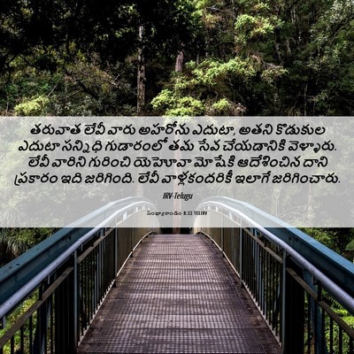 Picture 06 - సంఖ్యాకాండం 8:22 TELIRV - తరువాత లేవీ వారు - Bible Verse Picture