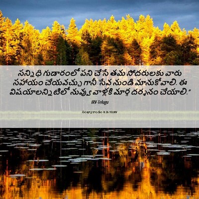 Picture 06 - సంఖ్యాకాండం 8:26 TELIRV - సన్నిధి గుడారంలో - Bible Verse Picture