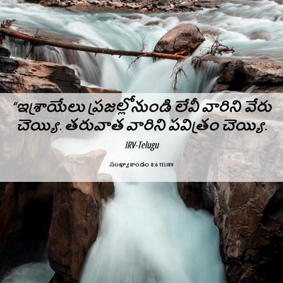 Picture 06 - సంఖ్యాకాండం 8:6 TELIRV - “ఇశ్రాయేలు - Bible Verse Picture