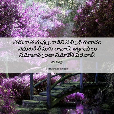 Picture 06 - సంఖ్యాకాండం 8:9 TELIRV - తరువాత నువ్వు - Bible Verse Picture