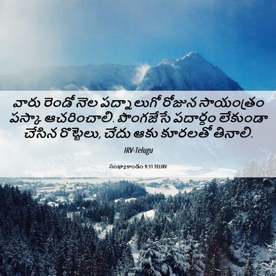 Picture 06 - సంఖ్యాకాండం 9:11 TELIRV - వారు రెండో నెల - Bible Verse Picture