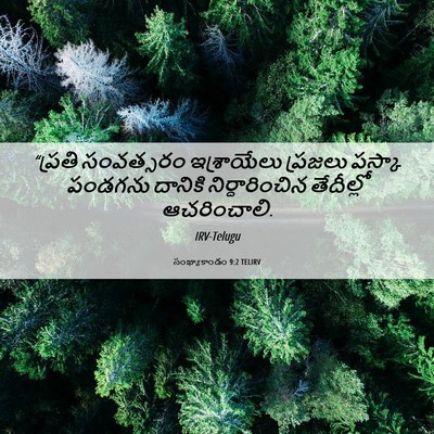 Picture 06 - సంఖ్యాకాండం 9:2 TELIRV - “ప్రతి సంవత్సరం - Bible Verse Picture