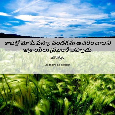 Picture 06 - సంఖ్యాకాండం 9:4 TELIRV - కాబట్టి మోషే - Bible Verse Picture