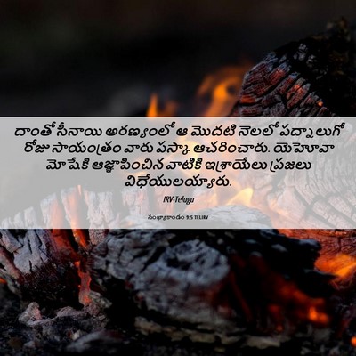 Picture 06 - సంఖ్యాకాండం 9:5 TELIRV - దాంతో సీనాయి - Bible Verse Picture
