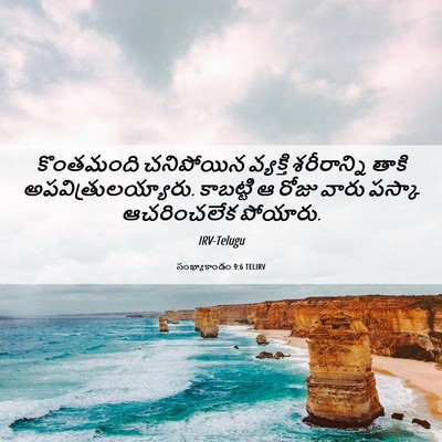 Picture 06 - సంఖ్యాకాండం 9:6 TELIRV - కొంతమంది చనిపోయిన - Bible Verse Picture