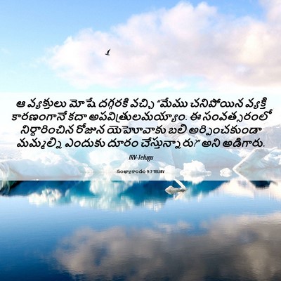 Picture 06 - సంఖ్యాకాండం 9:7 TELIRV - ఆ వ్యక్తులు మోషే - Bible Verse Picture