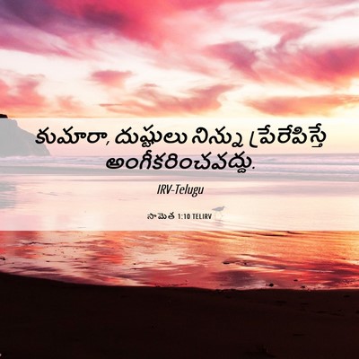 Picture 06 - సామెత 1:10 TELIRV - కుమారా, దుష్టులు - Bible Verse Picture