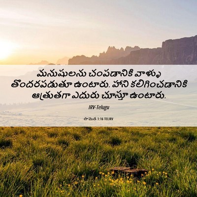 Picture 06 - సామెత 1:16 TELIRV - మనుషులను - Bible Verse Picture
