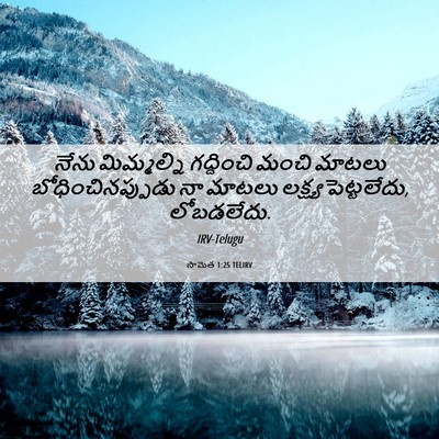 Picture 06 - సామెత 1:25 TELIRV - నేను మిమ్మల్ని - Bible Verse Picture