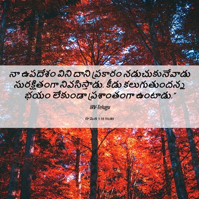Picture 06 - సామెత 1:33 TELIRV - నా ఉపదేశం విని - Bible Verse Picture