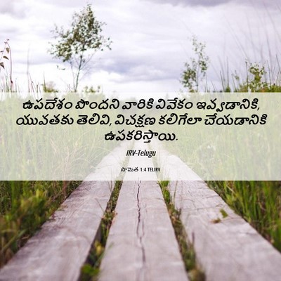Picture 06 - సామెత 1:4 TELIRV - ఉపదేశం పొందని - Bible Verse Picture