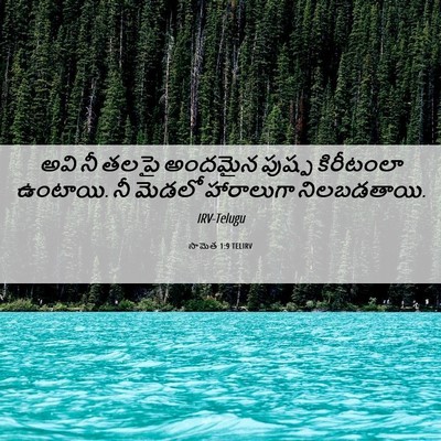 Picture 06 - సామెత 1:9 TELIRV - అవి నీ తలపై అందమైన - Bible Verse Picture