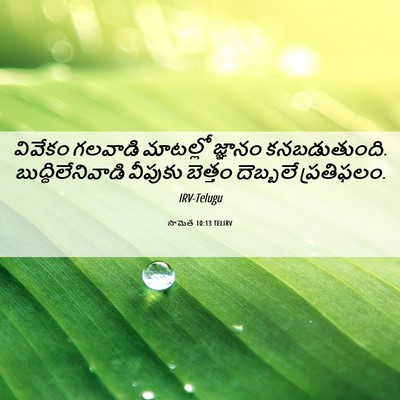 Picture 06 - సామెత 10:13 TELIRV - వివేకం గలవాడి - Bible Verse Picture