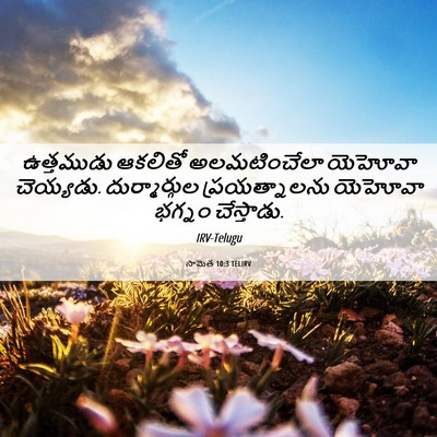 Picture 06 - సామెత 10:3 TELIRV - ఉత్తముడు ఆకలితో - Bible Verse Picture
