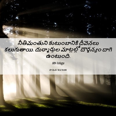 Picture 06 - సామెత 10:6 TELIRV - నీతిమంతుని - Bible Verse Picture