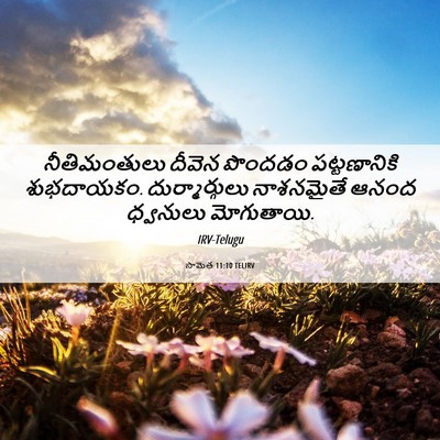 Picture 06 - సామెత 11:10 TELIRV - నీతిమంతులు దీవెన - Bible Verse Picture