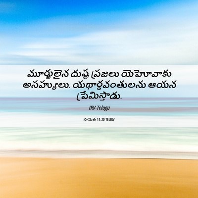 Picture 06 - సామెత 11:20 TELIRV - మూర్ఖులైన దుష్ట - Bible Verse Picture