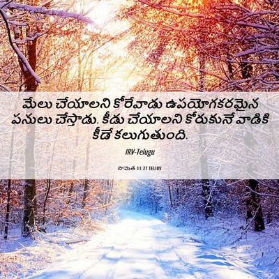 Picture 06 - సామెత 11:27 TELIRV - మేలు చేయాలని - Bible Verse Picture