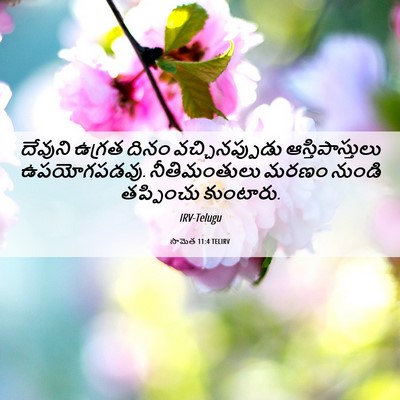 Picture 06 - సామెత 11:4 TELIRV - దేవుని ఉగ్రత దినం - Bible Verse Picture