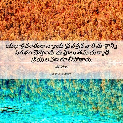 Picture 06 - సామెత 11:5 TELIRV - యథార్థవంతుల న్యాయ - Bible Verse Picture