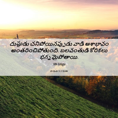 Picture 06 - సామెత 11:7 TELIRV - దుష్టుడు - Bible Verse Picture