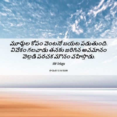 Picture 06 - సామెత 12:16 TELIRV - మూర్ఖుల కోపం - Bible Verse Picture