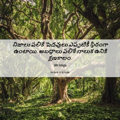 Picture 06 - సామెత 12:19 TELIRV - నిజాలు పలికే - Bible Verse Picture