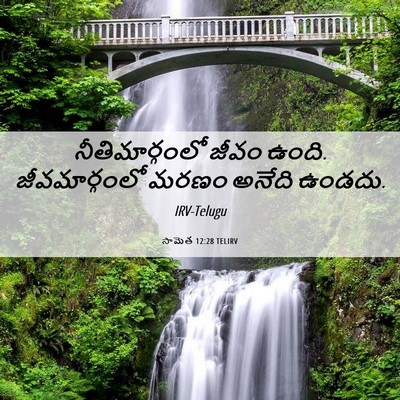 Picture 06 - సామెత 12:28 TELIRV - నీతిమార్గంలో జీవం - Bible Verse Picture