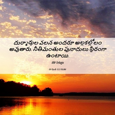 Picture 06 - సామెత 12:3 TELIRV - దుర్మార్గుల వలన - Bible Verse Picture