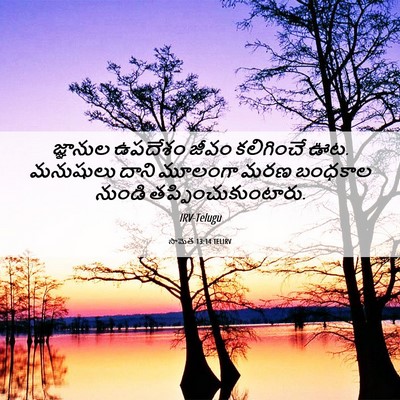 Picture 06 - సామెత 13:14 TELIRV - జ్ఞానుల ఉపదేశం - Bible Verse Picture