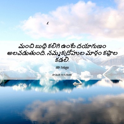 Picture 06 - సామెత 13:15 TELIRV - మంచి బుద్ధి కలిగి - Bible Verse Picture
