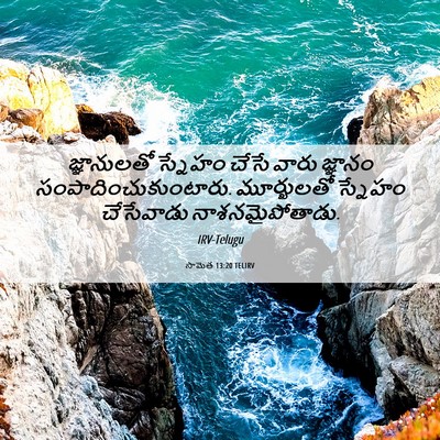 Picture 06 - సామెత 13:20 TELIRV - జ్ఞానులతో స్నేహం - Bible Verse Picture