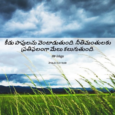 Picture 06 - సామెత 13:21 TELIRV - కీడు పాపులను - Bible Verse Picture