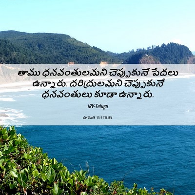 Picture 06 - సామెత 13:7 TELIRV - తాము ధనవంతులమని - Bible Verse Picture