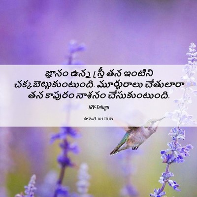 Picture 06 - సామెత 14:1 TELIRV - జ్ఞానం ఉన్న - Bible Verse Picture