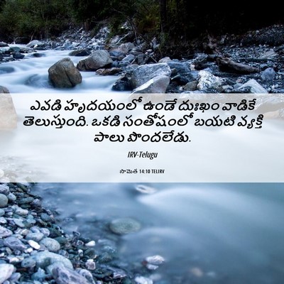 Picture 06 - సామెత 14:10 TELIRV - ఎవడి హృదయంలో ఉండే - Bible Verse Picture