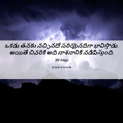 Picture 06 - సామెత 14:12 TELIRV - ఒకడు తనకు - Bible Verse Picture