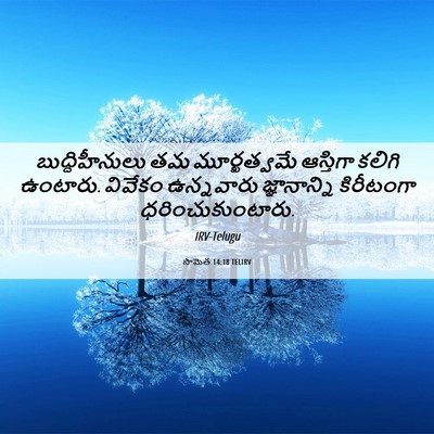 Picture 06 - సామెత 14:18 TELIRV - బుద్ధిహీనులు తమ - Bible Verse Picture