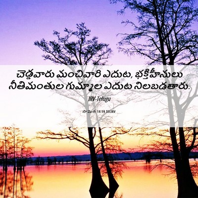 Picture 06 - సామెత 14:19 TELIRV - చెడ్డవారు - Bible Verse Picture