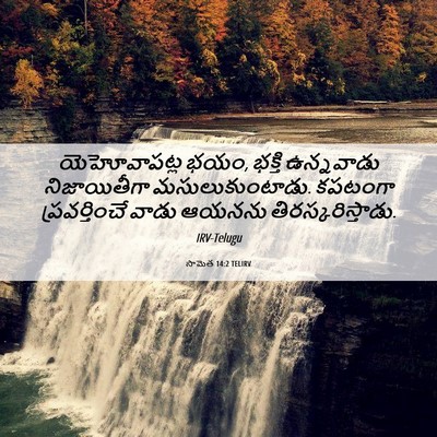 Picture 06 - సామెత 14:2 TELIRV - యెహోవాపట్ల భయం, - Bible Verse Picture