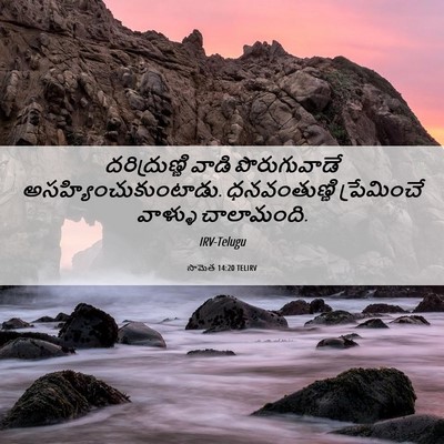 Picture 06 - సామెత 14:20 TELIRV - దరిద్రుణ్ణి వాడి - Bible Verse Picture