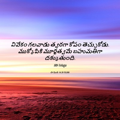 Picture 06 - సామెత 14:29 TELIRV - వివేకం గలవాడు - Bible Verse Picture